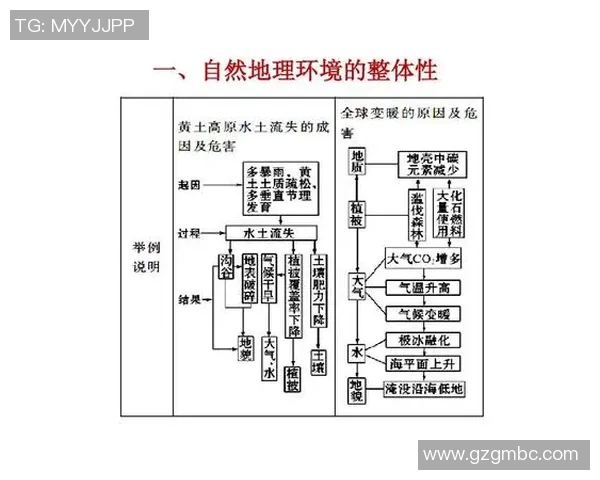 深入探讨上海网球队各成员个人能力差异及其对整体表现的影响分析