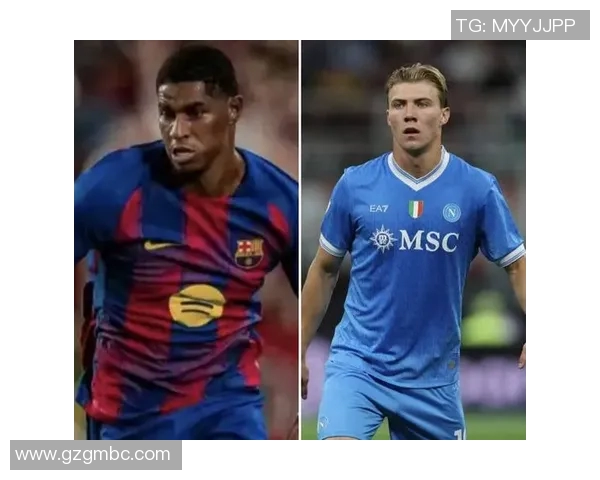 霍伊伦的传奇人生与科学探索之旅：从青年到巨匠的蜕变与成就